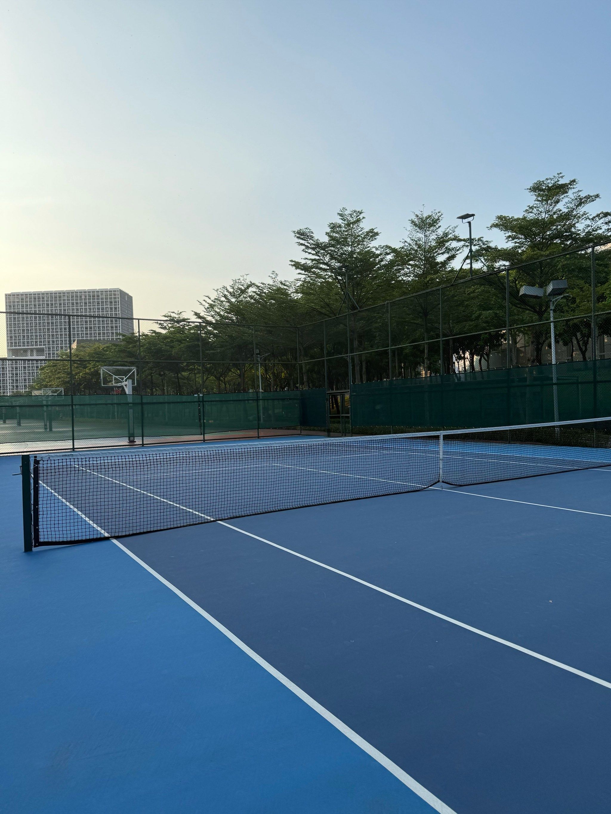 广泛的趋势 广泛的趋势