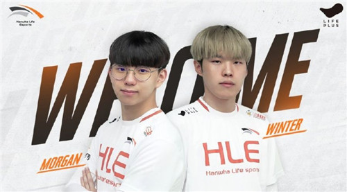 和灵活的战 和灵活的战